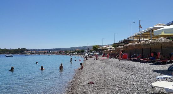 Esperides