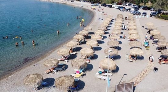 Paralia II