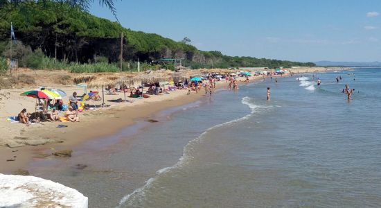 Paralia Glifa II