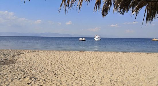 Revive beach