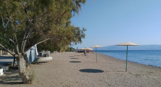Amarynthos beach