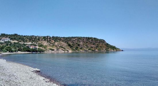 Playa Xampelia
