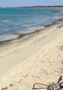 Isla Chrisi