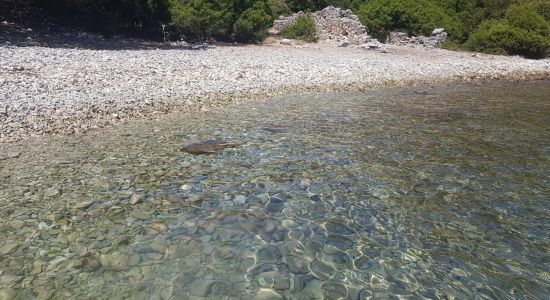 Piglet Bear Bay