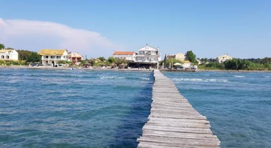 Paralia Alikes
