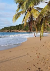 Isla de Basse-Terre
