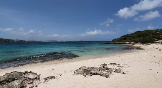 Pointe Tarare nudist Beach