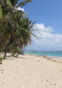 Isla de La Désirade