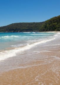 Distrito de Shoalhaven