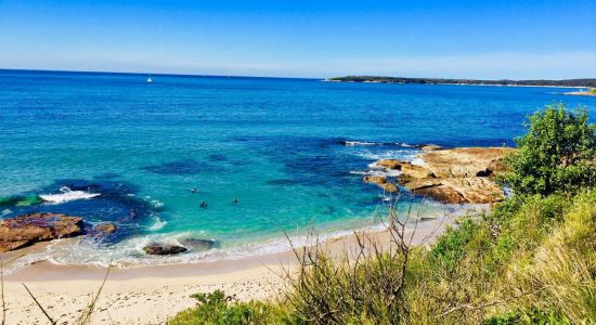 Blackwoods Beach