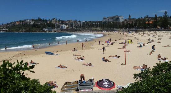 Playa de Coogee