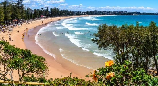 Playa de Manly
