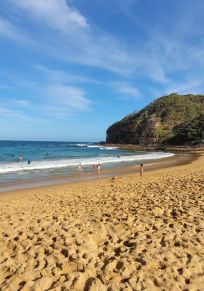 Consejo de Central Coast