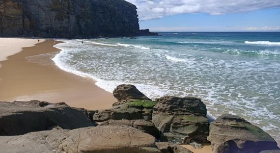 Redhead Beach