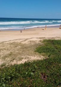 Consejo de Port Stephens