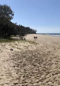 Distrito de Coffs Harbour