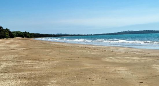 Armstrong Beach