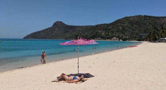 Playa Catseye