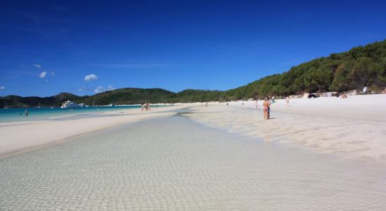 Playa de Whitehaven
