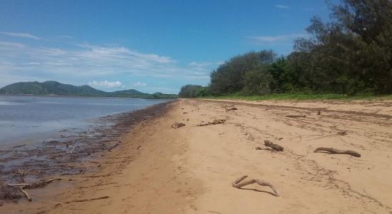 Bushland Beach