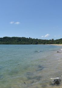 Región de Cassowary Coast