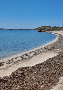 Condado de Shark Bay