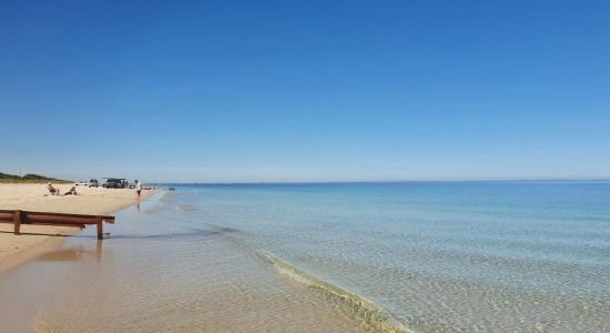Forrest Beach