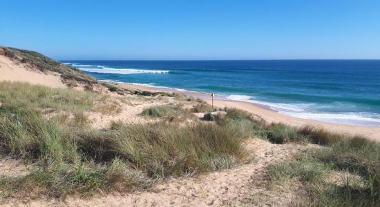 Williamson's Beach