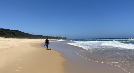 Shelly Beach