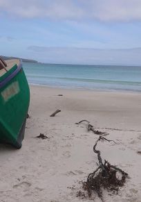 Isla de Tasmania