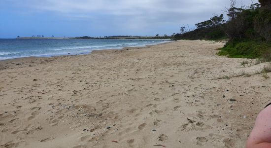 Mayfield Beach