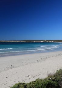 Consejo de Isla Canguro