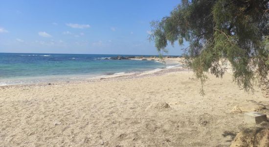 Nachsholim Beach