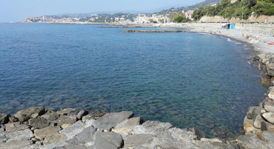 Amica Dog Beach
