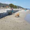 Spiaggia di Pippo
