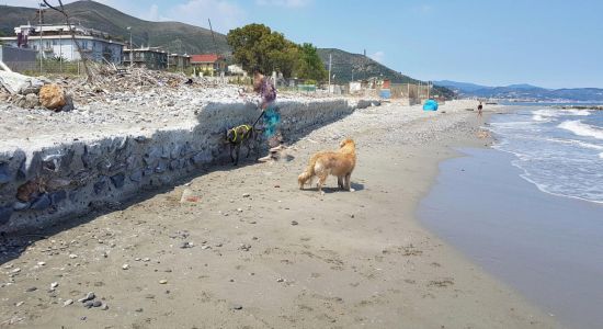 Spiaggia di Pippo
