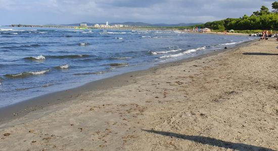 Spiaggia cani Puntone di Scarlino