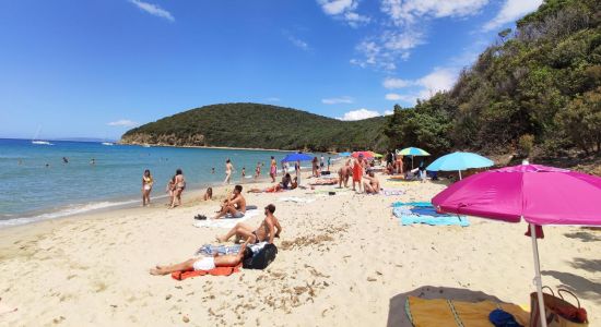 Cala Violina Scarlino