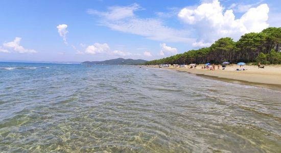 Punta Ala Beach