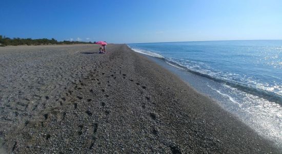 Spiaggia Bosco dei Cacci