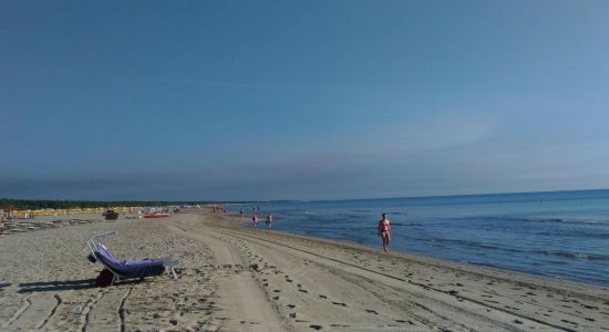 Marina Romea Beach