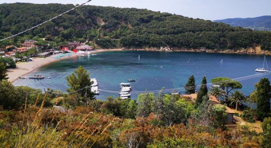 Spiaggia di Bagnaia