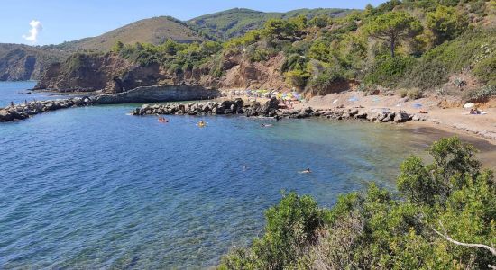 Spiaggia di Felciaio