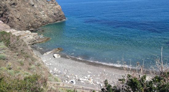 Punta Polveraia Beach