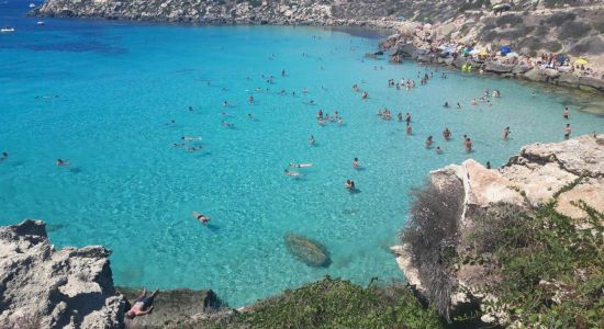 Scogliera Cala Azzurra