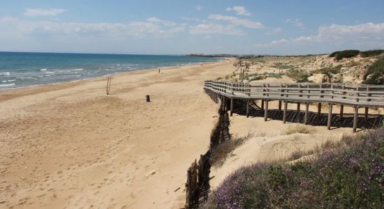 Punta Braccetto Beach