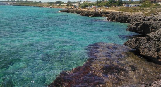 Lamaree Lido