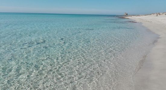 Spiaggia Lido Torretta