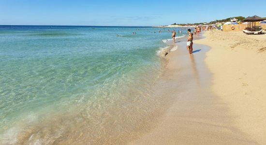 Spiaggia del Porto Cesareo