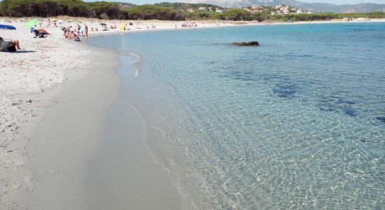 Caletta Beach